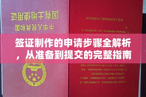武邑签证制作的申请步骤全解析，从准备到提交的完整指南