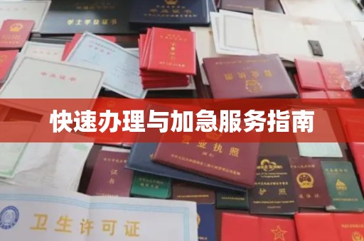 武邑快速办理与加急服务指南