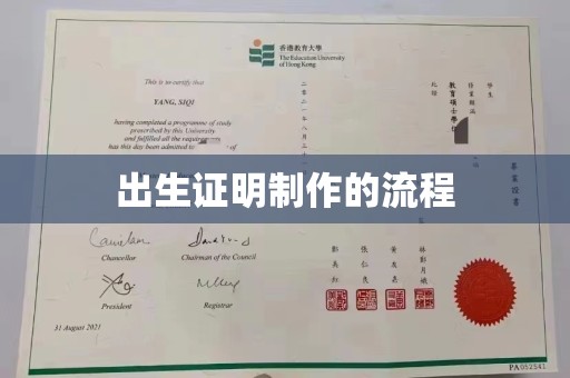 武邑出生证明制作的流程